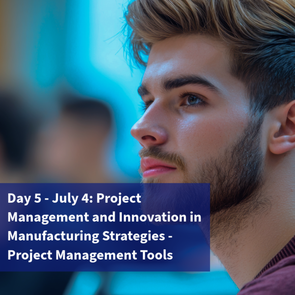 Day 5 - July 4: Project Management and Innovation in Manufacturing Strategies